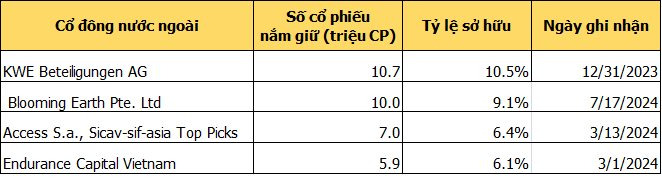 KWE Beteilgungen AG đang là cổ đông lớn nhất của công ty khi nắm giữ 11,5 triệu cổ phiếu TNH, tương đương 10,5%. ﻿